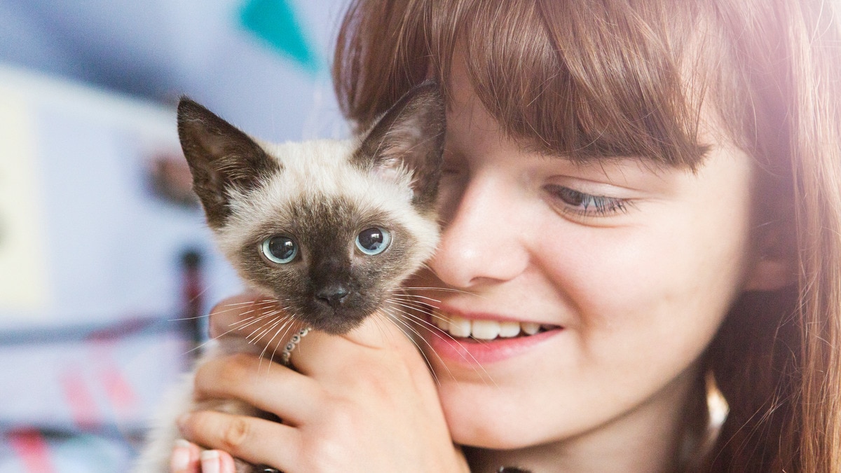 Equinox is getting more love from investors today than this kitty from this vaguely terrifying girl. Pic: Getty Images