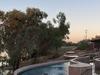 Community flocks to opening of unexpected outback phenomenon
