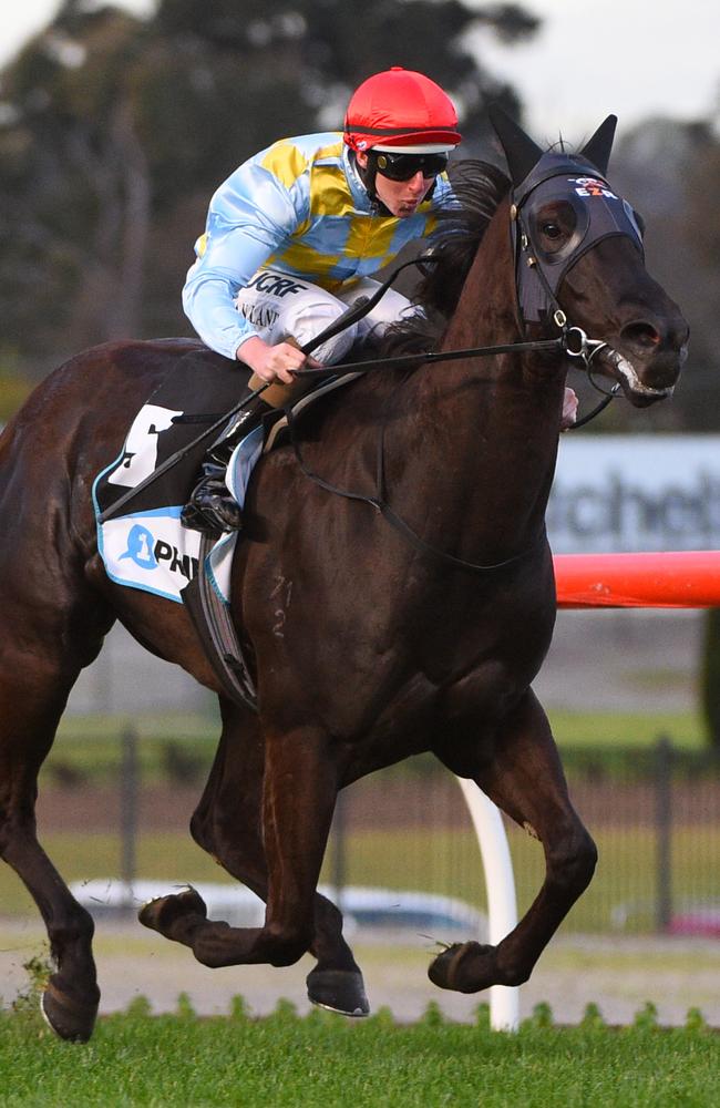 Heatherly wins the Carlyon Stakes at Moonee Valley last year. Picture: Getty Images