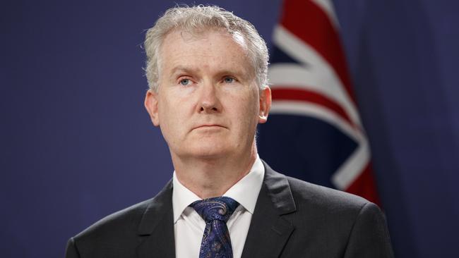 Tony Burke. Picture: Tim Pascoe