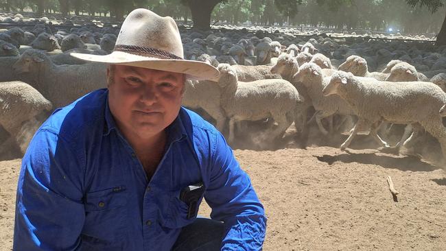 Buyer Ian Roffe paid $71 for 1650 of the young Cooinbil merino ewes at Deniliquin on Friday.