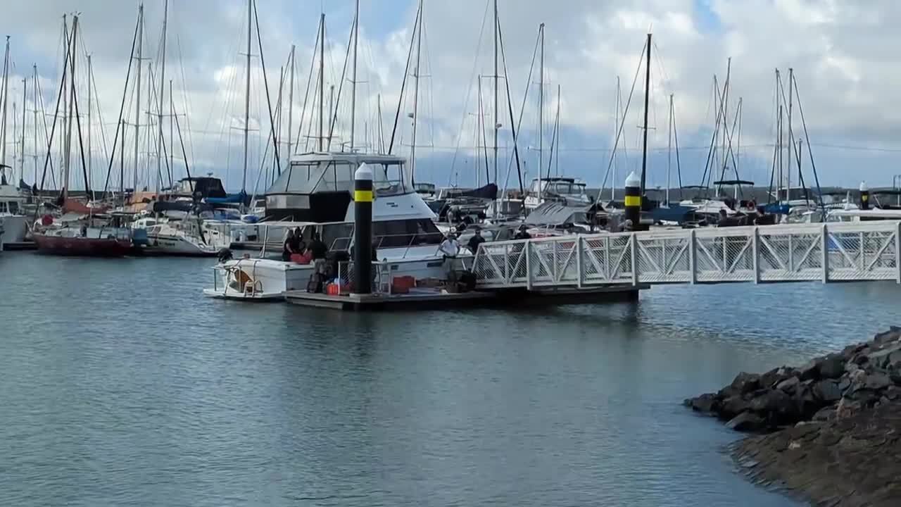 Federal police swarm popular harbour, search boat