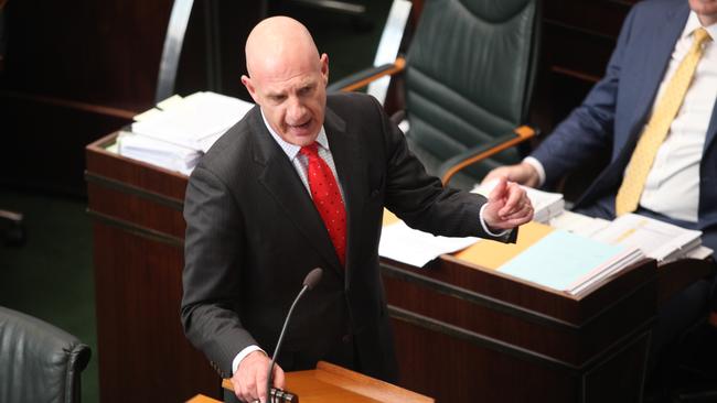 Treasurer Peter Gutwein addresses the Tasmanian parliament this morning.