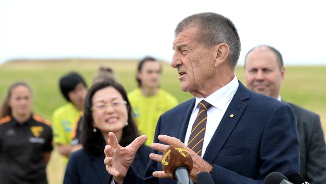 Jeff Kennett addresses reporters at Dingley in 2020. Picture: NCA NewsWire / Andrew Henshaw