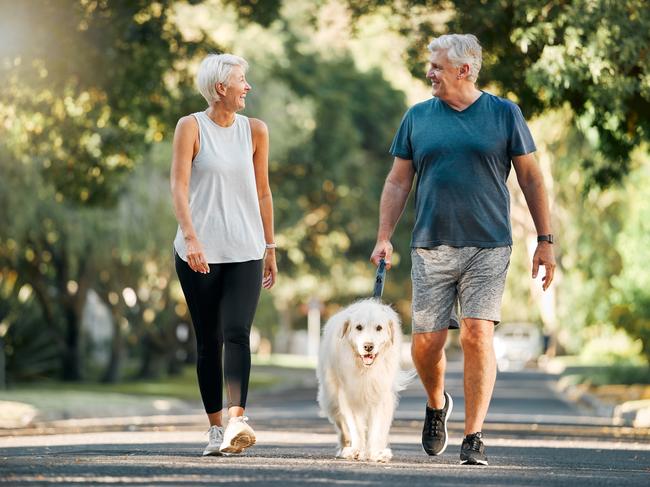 Retirement, fitness and walking with dog and couple in park; active happy retirees, wealth, retirement generic