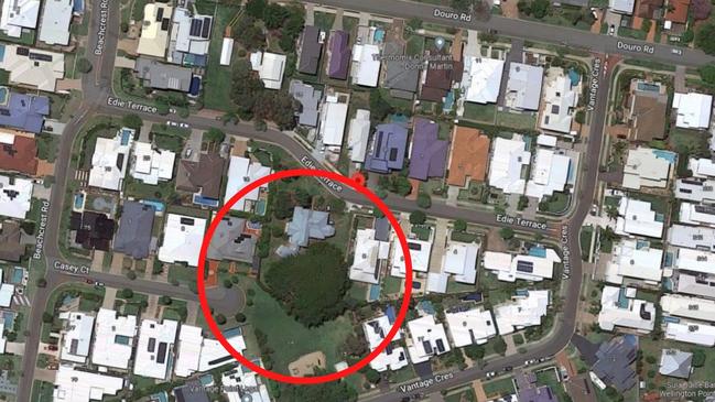 The tree from the air showing its canopy. Picture: Supplied