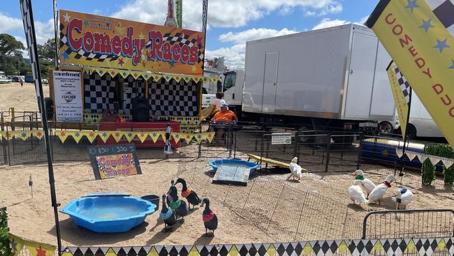 Comedy race ducks at the Gympie Show 2025.
