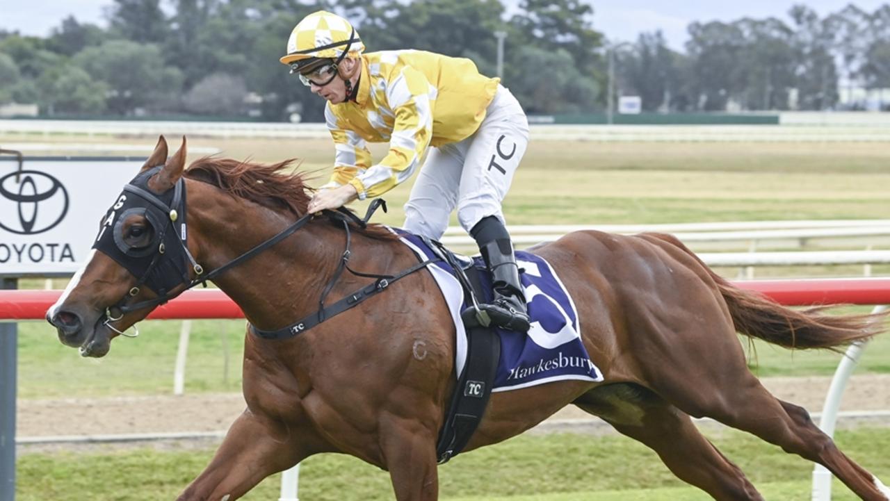 Gold Coast Yearling Sales 2024 Dorri Maible