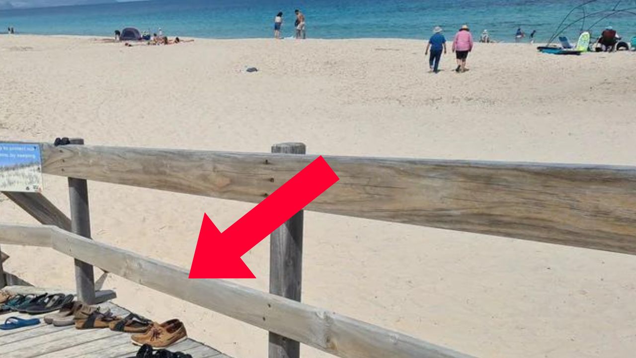 Beach pic proves quirky Aussie summer pact: Don't take the thongs!