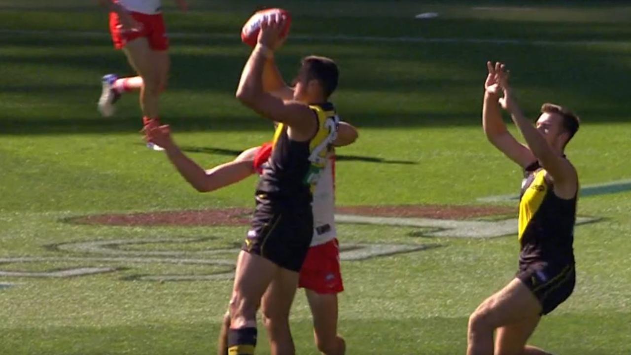 Richmond fans fumed when Toby Nankervis wasn't paid this mark, resulting in a Sydney goal.