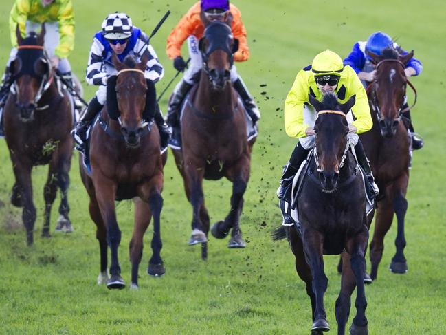 Danish Twist ridden by Koby Jennings (lime green, black diamonds) wins race 8 during Randwick races in Sydney. Pic Jenny Evans