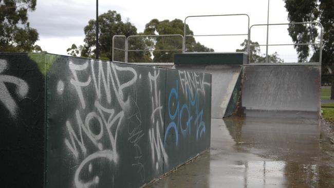 Steve was attacked near Croydon Skate Park.