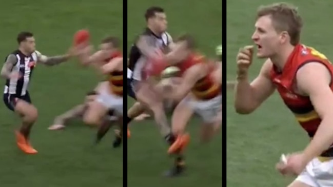 Was this a free kick to Adelaide Crows captain Jordan Dawson?