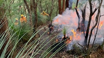 Firefighters at Springbrook yesterday.