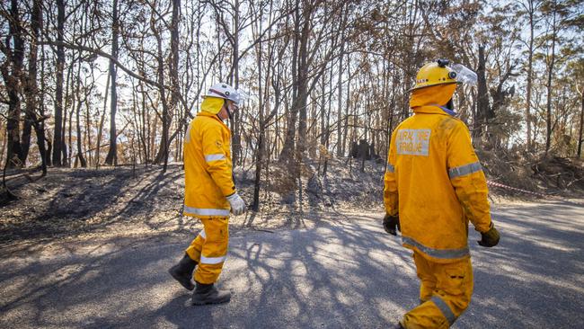 Members of the Queensland Fire Brigade on Binna Burra Road in September 2019. (AAP Image/Glenn Hunt)