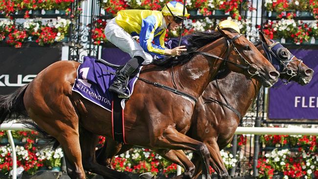 Riding The Wave looks a genuine chance to win at Flemington again.