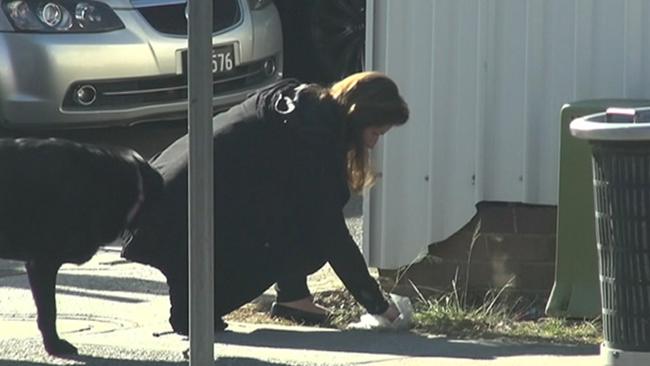 The staff member cleans up the dog excrement. Picture: Seven News.