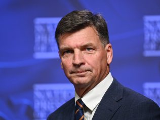 CANBERRA, Australia, NewsWire Photos. May 22, 2024: Shadow Treasurer Angus Taylor addresses the National Press Club of Australia in Canberra. Picture: NewsWire / Martin Ollman