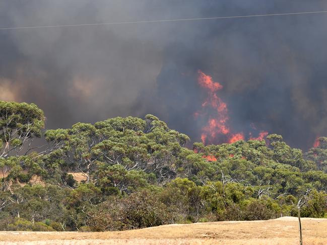 Bushfires sweeping through Stokes Bay on Kangaroo Island. Picture: David Mariuz