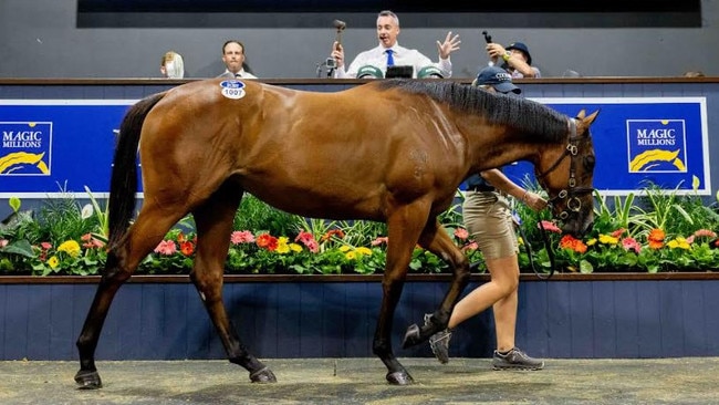 A record-breaking, $3.2m filly at the Magic Millions yearling sales on the Gold Coast. Picture: Luke Marsden Photos