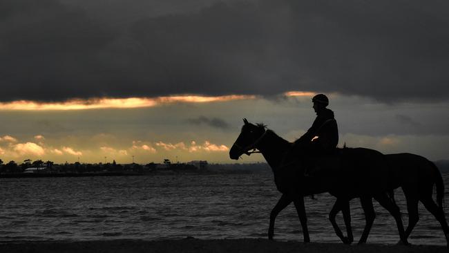 Gai Waterhouse's horses on a grey Melbourne morning at Altona beach. A La Nina event will see more clouds form during Melbourne’s summer. Picture: Nicole Garmston