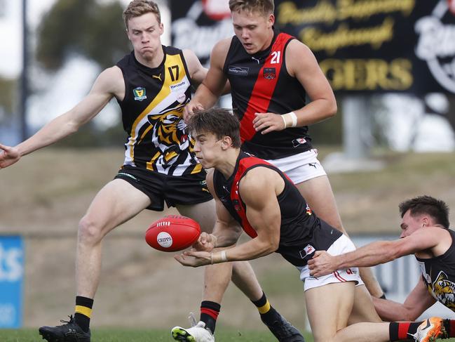 TSL. Tigers V North Launceston. Michael Stingel North Launceston and Kieran Lovell Tigers. Picture: Nikki Davis-Jones