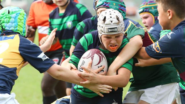 Schoolboy rugby players face a confusing and demaning pathway to the top. Picture: Tertius Pickard