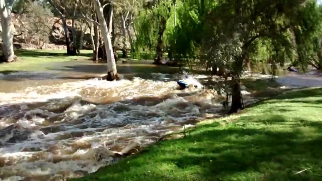 Torrens River kayakers