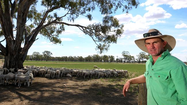 Ben Harrison, is focused on spending the next five years transitioning his first cross flock to a composite, self-replacing flock.