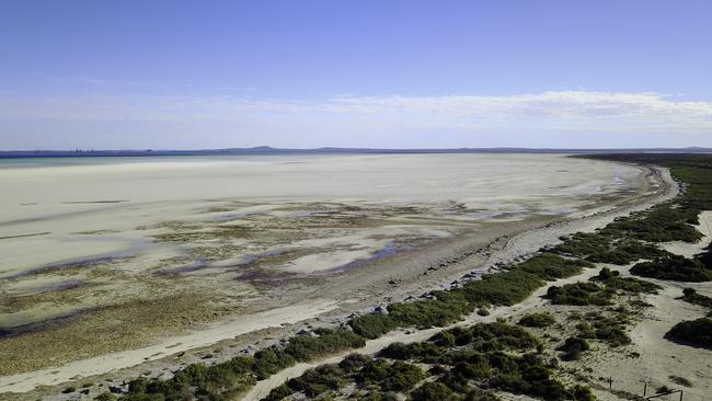 Aerial view of the salt flats along the coastline of False Bay, just north of Whyalla, where bones later linked to Mario Della Torre were found.