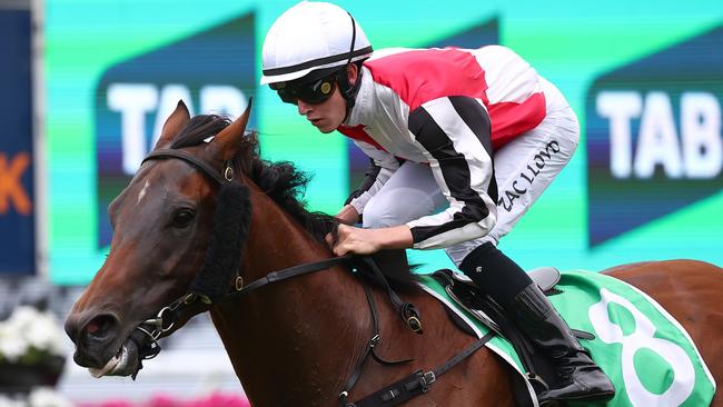 Zac Lloyd, winning aboard Zou Tiger last week in the Carrington Stakes, says winning the title is not of top of his list of goals this season. Picture: Jeremy Ng/Getty Images