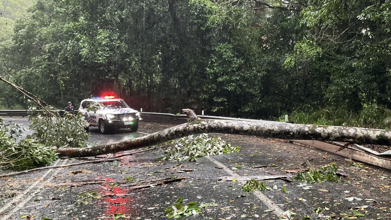 A large tree has fallen on the Gillies Range Road, closing it in both directions. Picture: Queensland Police Service