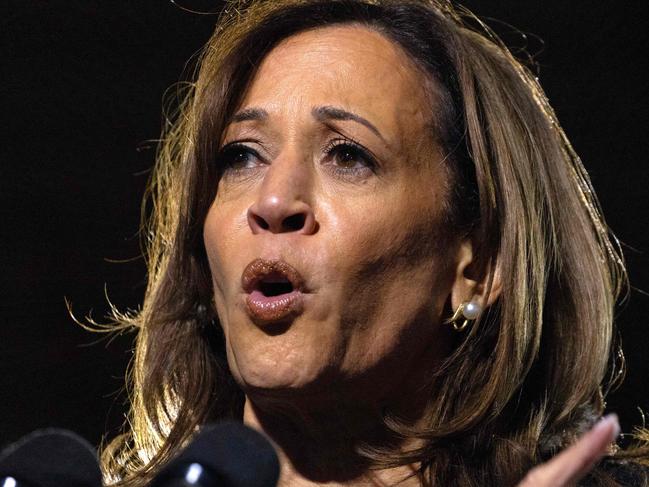 US Vice President and Democratic presidential candidate Kamala Harris speaks during a campaign rally at the Carrie Blast Furnaces National Historic Landmark outside Pittsburgh, in Rankin, Pennsylvania on November 4, 2024. (Photo by Rebecca DROKE / AFP)