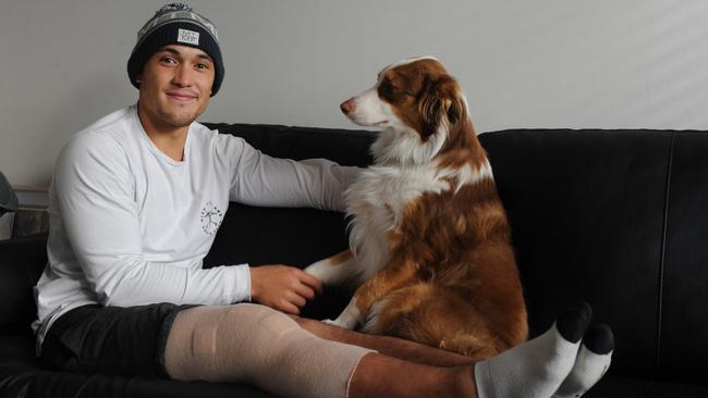 Alex Woodward recovering at home with his Australian Sheepdog Koda after surgery for a fourth ACL knee injury. Picture: Andrew Henshaw