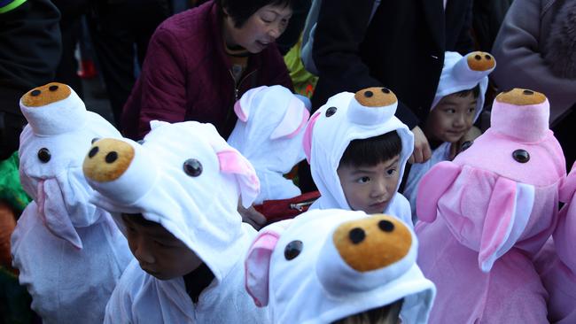 SAN FRANCISCO, CALIFORNIA - FEBRUARY 05: Children wear pig costumes while ushering in Chinese New Year on February 05, 2019 in San Francisco, California. San Francisco city officials held opening ceremonies to usher in the Chinese New Year and the month-long celebration of the Year of the Pig.   Justin Sullivan/Getty Images/AFP == FOR NEWSPAPERS, INTERNET, TELCOS & TELEVISION USE ONLY ==