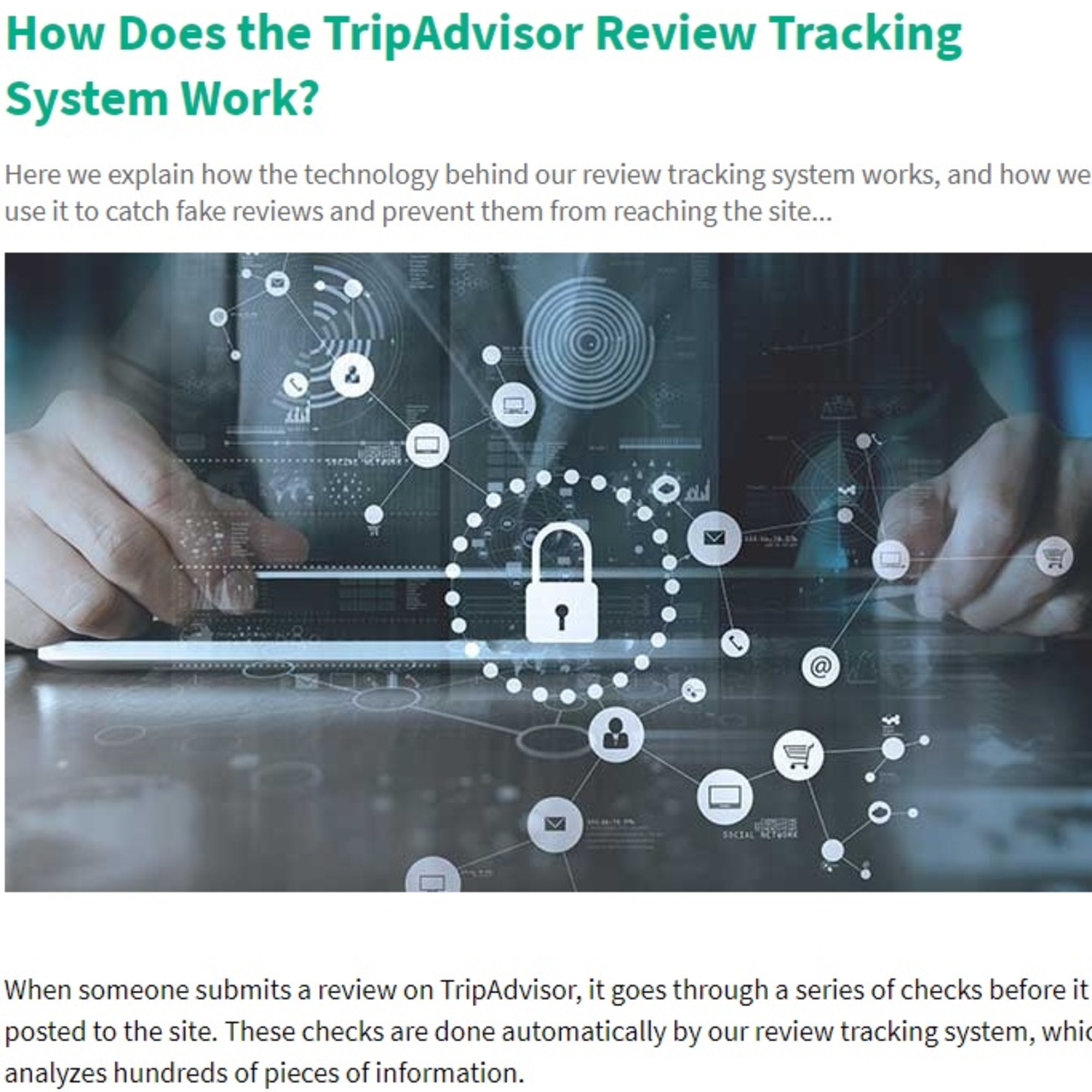 TripAdvisor has strongly denied allegations that one in three of its reviews are fake.