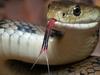 Deadly find in homes amid wild weather