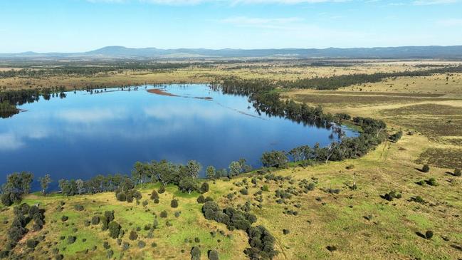 The Fairfield Aggregation is developed to improved pastures of various buffel, panic varieties supported by Rhodes and bluegrass and under sown to legumes including desmanthus and butterfly pea.