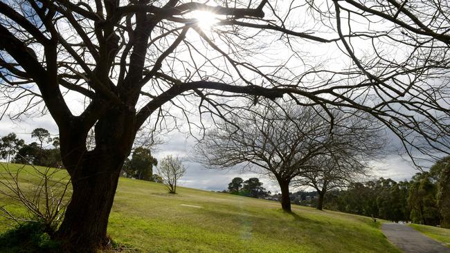 Ruffey Lake Park is popular in Templestowe.