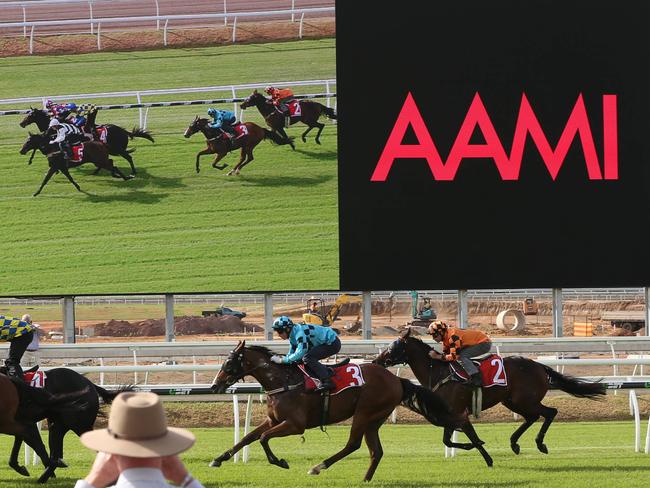 First official trials at Eagle Farm. . Pic Annette Dew