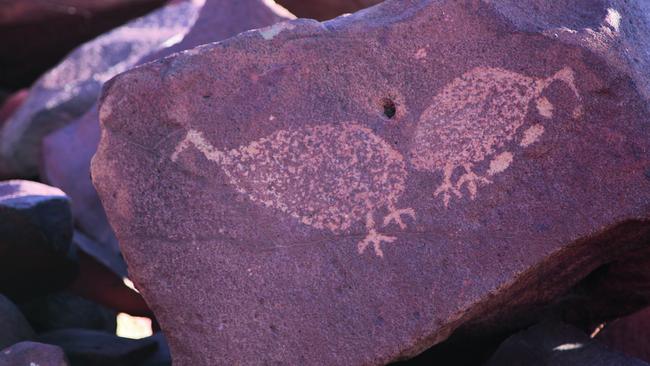 Rock engravings of birds with eggs, Burrup Peninsula. Picture: supplied