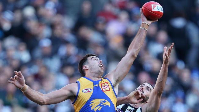 West Coast's Scott Lycett wins the tap over Collingwood’s Brodie Grundy. Picture: Michael Klein