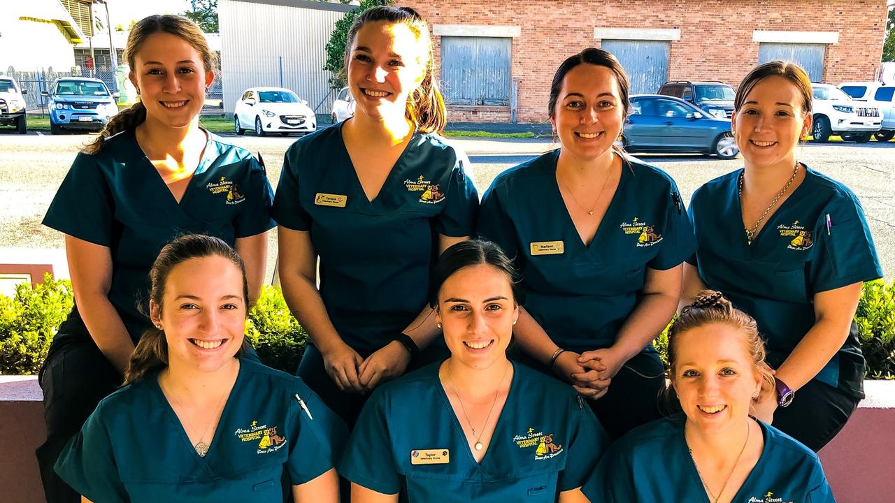 Some of the nurses from Alma Street Veterinary Hospital (back row, from left) Beth Whitfield, Tamara Gal, Madison Rosenberg, Alana Kowald and (front) Darcie Ouston, Taylor Wark and Kimberly Poots.