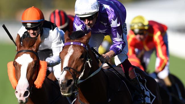 Jockey Hugh Bowman and Cellarman take out the Wintergreen Stakes after a tracking a wide route at Eagle Farm on Saturday.