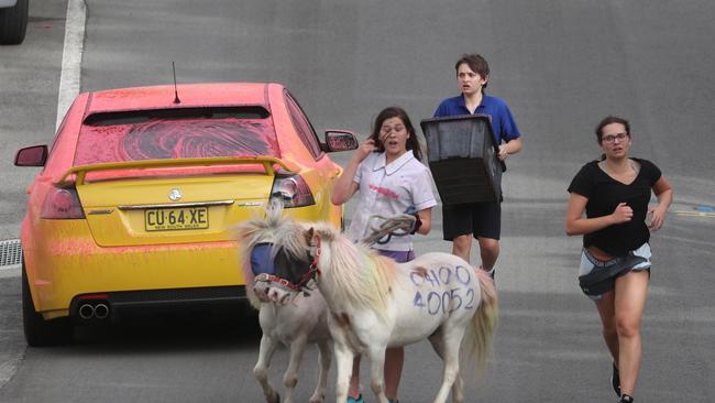 Residents were ready to leave their horses as the fire approached. Picture John Grainger