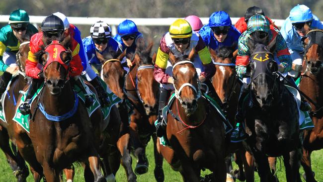 Loving home ridden by Tye Angland  (yellow cap, maroon with yellow armbands) wins race 1 during Scone  Races located in the Upper Hunter Region of NSW. The Bend . Pic Jenny Evans