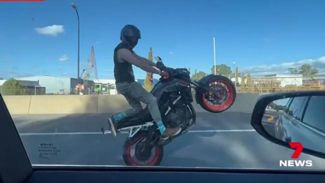 Deputy Premier Susan Close has labelled a motorbike rider an idiot after he was filmed performing stunts on the North-South Motorway. Picture: 7NEWS