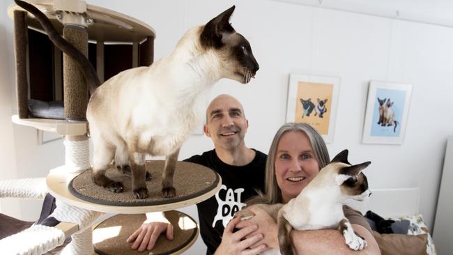 Instagram-famous cats Leroy and Neo with owners Leanne Stables and her partner Wayne Lawson aka 'Cat Dad' at their Kilkenny home. Picture: Brett Hartwig