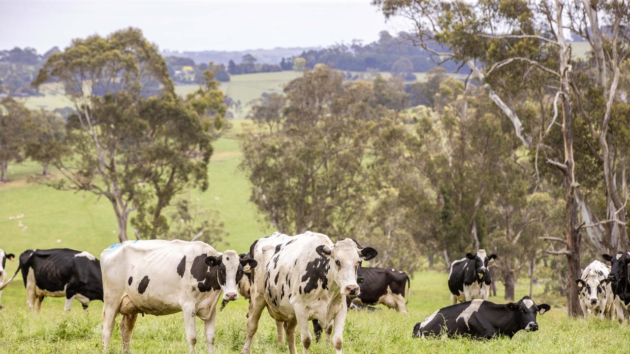 Dairy exports: New markets emerge
