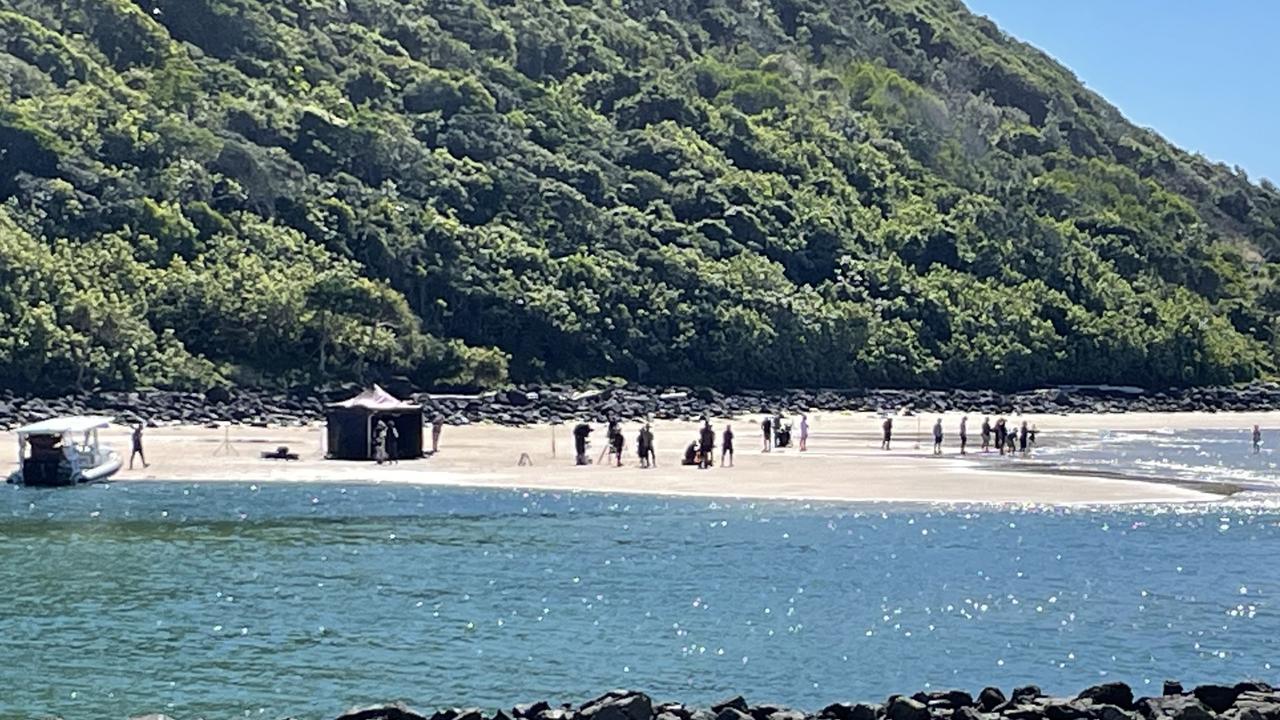 are dogs allowed at tallebudgera creek